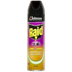 Raid One Shot Multi Purpose Insect Killer Citrus