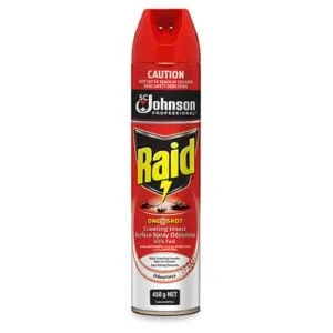 Raid One Shot Crawling Insect Killer 450G
